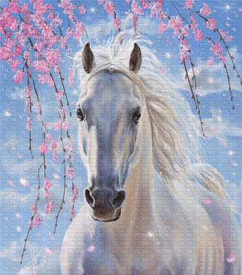 ani-bg-häst- - 無料のアニメーション GIF