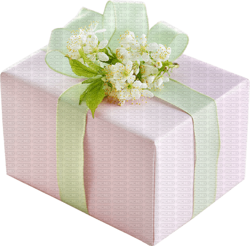 Gift box. Leila - besplatni png