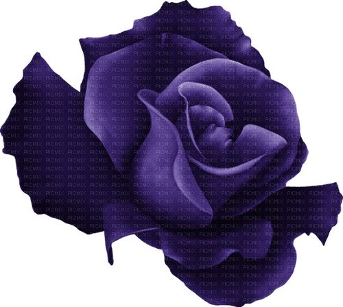 kikkapink purple flower deco - zdarma png