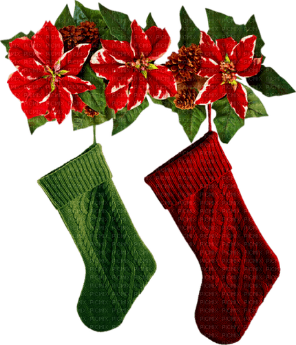 Flowers.Pinecones.Stockings.Brown.Red.Green - bezmaksas png