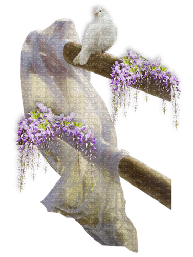 Cerca con una paloma y flores - bezmaksas png