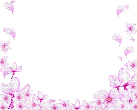flower frame - GIF animado gratis