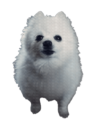 Gabe the dog - ilmainen png