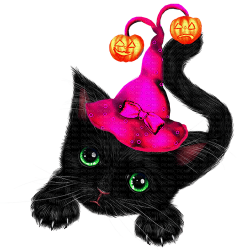 Cat.Witch.Black.Orange.Pink - png gratis