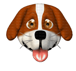 dog, gif, Adam64 - Darmowy animowany GIF