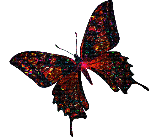 бабочка - 無料のアニメーション GIF