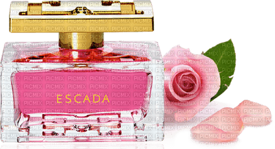 perfume Parfüm parfum flacon flower fleur deco tube pink - gratis png