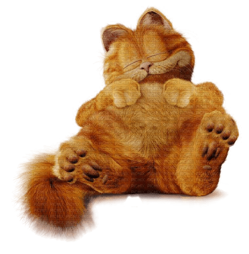 MMarcia gif Garfield - бесплатно png