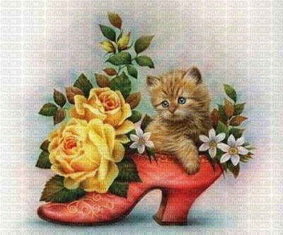 Flowers and Kitten in a Orange Shoe - ilmainen png