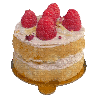 spinning raspberry cake - Darmowy animowany GIF