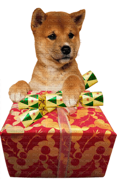 Kaz_Creations Animals Christmas Dog Pup Gift - PNG gratuit