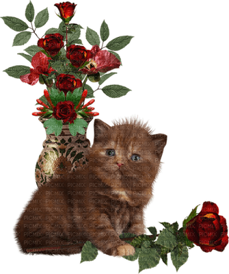 Kaz_Creations Cats Cat Kittens Kitten Flowers - png grátis