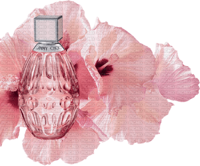 Flowers pink bp - png gratuito