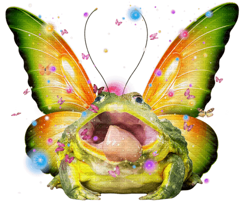 Magical pixie butterfly frog - ücretsiz png
