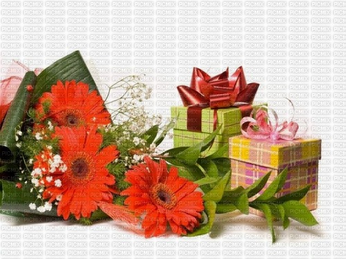 Flores y regalos - zdarma png