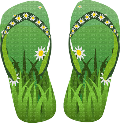 Kaz_Creations St.Patricks Day Deco Flip Flops - PNG gratuit