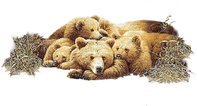 Kaz_Creations Animals Animal Polar Bears - png grátis