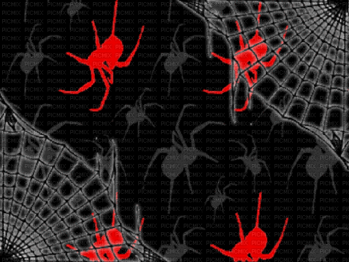 red and black spiders - GIF animado gratis