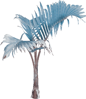 soave deco summer animated tropical tree palm - Ingyenes animált GIF