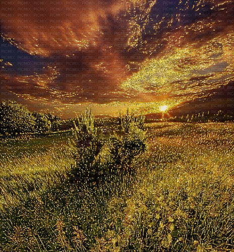 Rena Glitter Hintergrund Sonnenuntergang - Darmowy animowany GIF