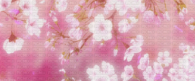 Fond.Background.Pink.Spring.Printemps.Victoriabea - Free animated GIF