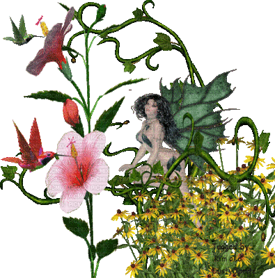 fiori - Ingyenes animált GIF