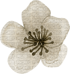 dolceluna sepia white flower deco png tube - 無料png