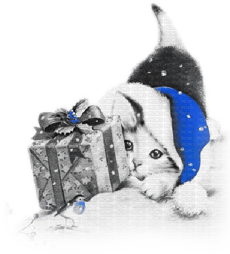 soave animals cat christmas winter gift box - PNG gratuit