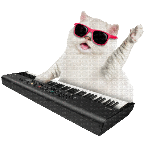 Cat Sing - 免费动画 GIF
