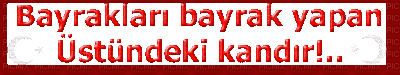 BAYRAK - Darmowy animowany GIF