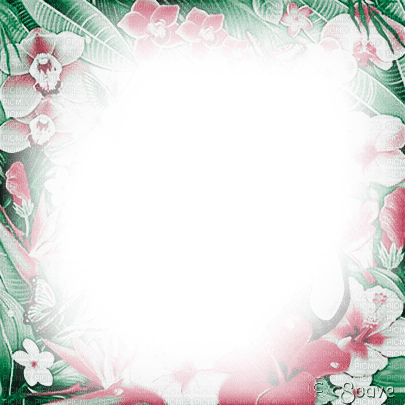 soave frame tropical summer flowers pink green - zdarma png