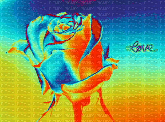 Rainbow-Rose. - Free animated GIF