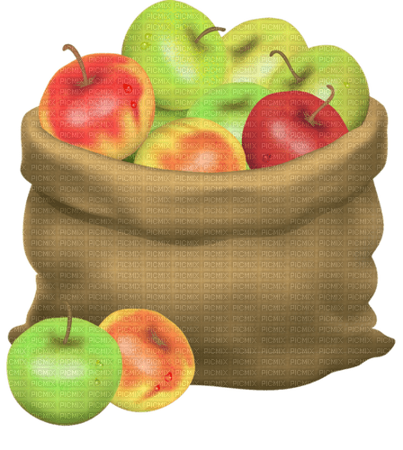 apple apfel pomme autumn - Free PNG