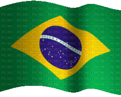 Brazil brasilien Brésil flag flagge drapeau deco tube  football soccer fußball sports sport sportif gif anime animated - Free animated GIF