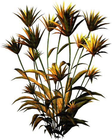 Planta de otoño - 免费PNG