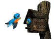 Oiseau - Bezmaksas animēts GIF