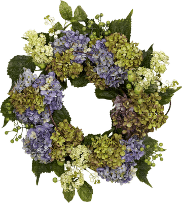 Kaz_Creations Deco Flowers Flower  Colours - 免费PNG