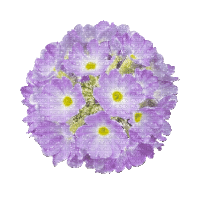 fleur violet.Cheyenne63 - Безплатен анимиран GIF