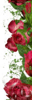 Deco verticale roses - gratis png
