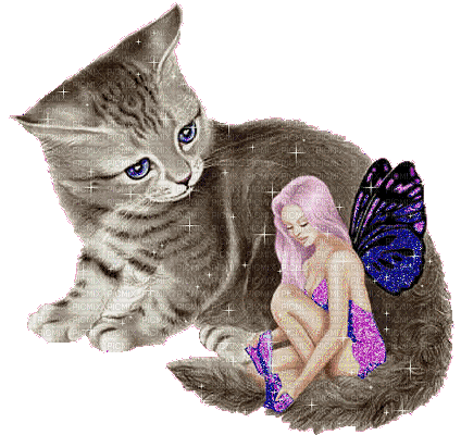 Cat and Fairy - GIF animé gratuit
