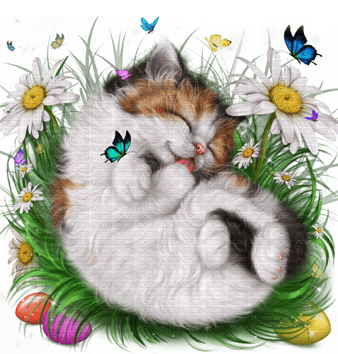 Y.A.M._Easter cat - Free PNG