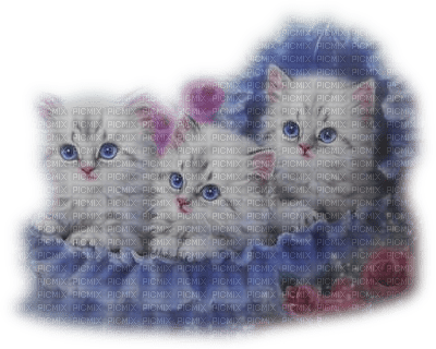 Kaz_Creations Cats Cat Kittens Kitten - δωρεάν png