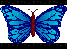 Papillon ** - Ücretsiz animasyonlu GIF