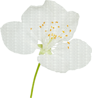 Kaz_Creations Deco Flowers Flower White - png ฟรี