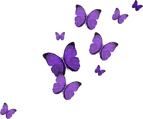 kikkapink deco scrap purple butterflies - безплатен png