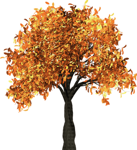 autumn tree - kostenlos png