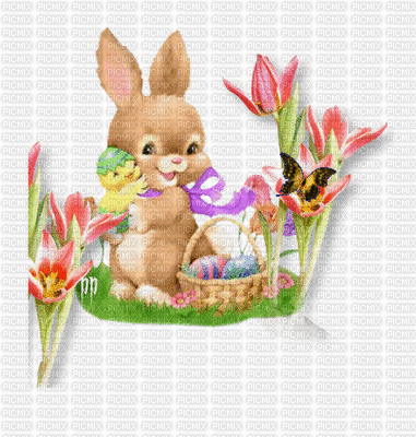 petit lapin - 無料のアニメーション GIF