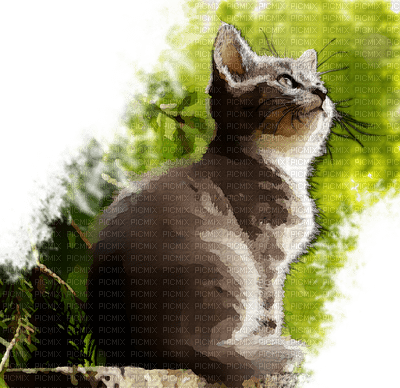 kissa, cat, domestic animal, kotielääin - 免费PNG