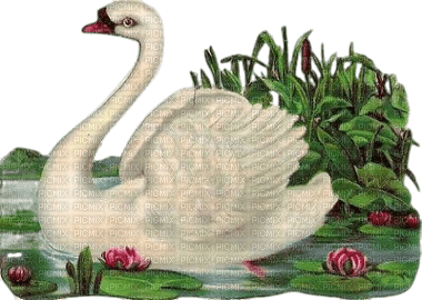 vintage swan - kostenlos png