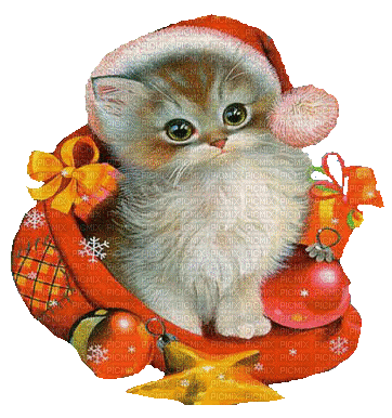 Kaz_Creations Christmas Deco Cats Cat Kitten - Ücretsiz animasyonlu GIF